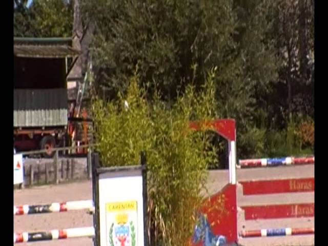 Grand-mother of this Implanted Embryo is the CSI 1.60m jumping mare Walloon de Muze with rider Michel Hecart.