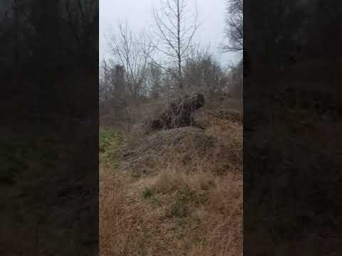 Dudley Street Overview