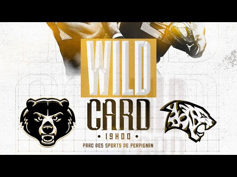 D1 Élite 2024 - WILD CARD 2 : GRIZZLYS CATALANS - LEOPARDS