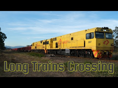 Crossing Trains at Mingela