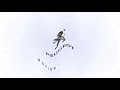Peugeot Logo Effects Sponsored By Gamavision Csupo Effects