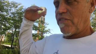 Fukushima news; NUCLEAR ENERGY KILLERS, Hawaii congressman DEAD AT 49 CANCER SAN ONOFRE CRIMES