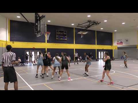 Michigan Drive Premier 2026 Brown vs Always 100 Elite   Michigan's Main Event Tournament