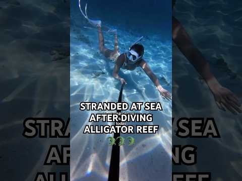 We knew this day was too good to be true… #floridakeys #alligatorreef #oceangirl #florida #diving