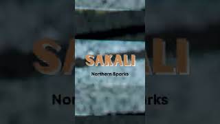 Northern Sparks - Sakali (Audio Teaser) #shorts