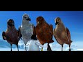 Happy Feet Skuas