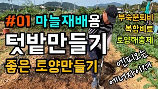 [마늘재배 #01] 마늘재배용 텃밭만들기 / 농사는 좋은 토양으로 부터 / 땅심이 좋아야 합니다 / 부숙분퇴…