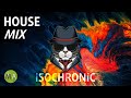 Peak Focus For Complex Tasks with Isochronic Tones - Spy Cat Mix