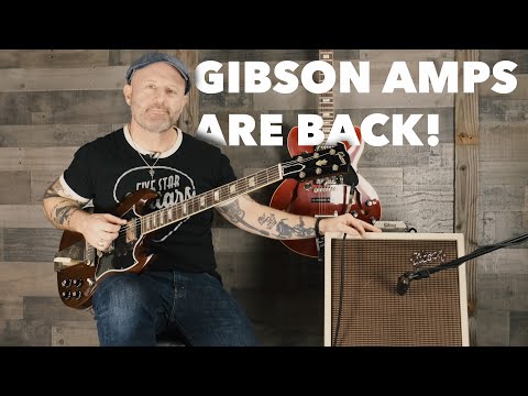 First Look at the NEW Gibson Falcon 5 Amplfiier