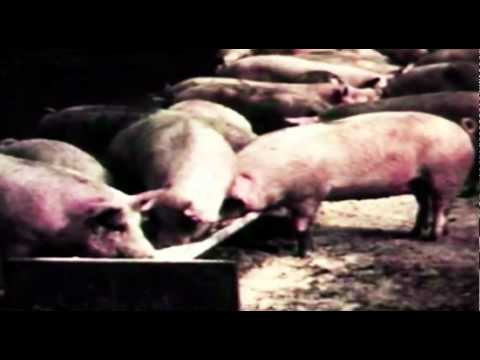 Biga - Only 4 The Bambine - BeatTape Teaser - Out 19 June 2011!!!!