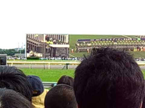 The 2008 Tokyo Yu-shun (Japanese Derby) 3