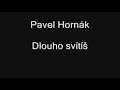 Dlouho svítíš - Pavel Horňák