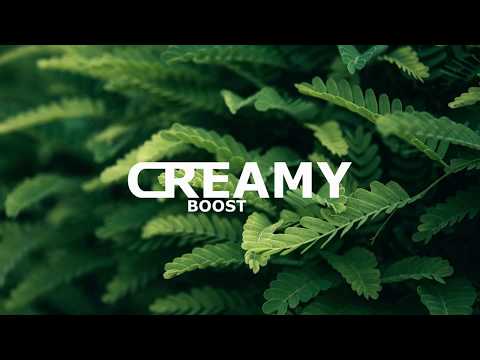 Trevor The Trashman The Pyramid - Bass Boosted