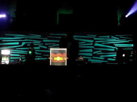 fran bortolossi @ beehive club