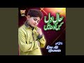 Haal E Dil