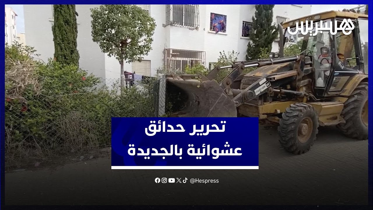 السلطات المحلية تحرر الملك العمومي وتزيل حدائق عشوائية بالجديدة thumbnail