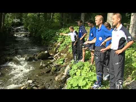 Erinnerungen an die Schweden-Ära - Sechs Schweden auf einen Streich