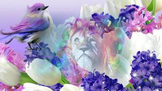 ღ Sing to Jesus ††† ღ Fernando Ortega ღ View in 720p HD