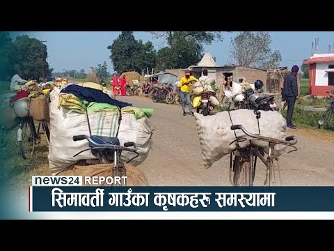 सिमावर्ती गाउँका कृषकहरु समस्यामा - NEWS24 TV