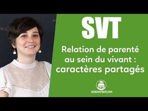 Relations de parenté au sein du vivant