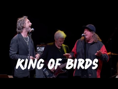 REM 40th Anniversary - King of Birds - Kevn Kinney and Rich Robinson