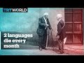 2 Of The World S 7 000 Languages Die Every Month UNESCO