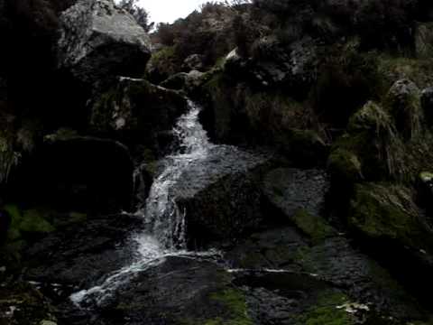 P.S. I Love You - Wicklow Tour