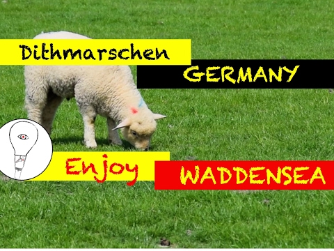 Enjoying Waddensea Dithmarschen Büsum Meldorf Wöhrden UNESCO