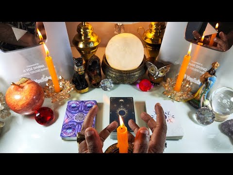 ESSA REVELAÇÃO VAI CHOCAR VOCÊ!