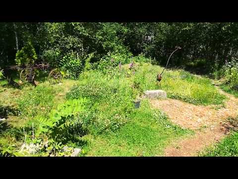 Habitat an der Bernhard Gläss Werkzeugmaschinenfabrik Naturgarten Chemnitz I (Naturgarten 2019)