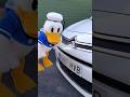 El Final No Lo Esperaba Humor Bentleygirl Donald Patodonald Donalduck Doblaje Disney