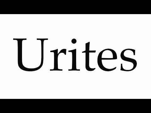 How to Pronounce Urites