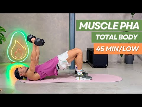 Allenamento Total Body con Pesi – 45 Minuti PHA Senza Salti | Brucia Grassi a Casa