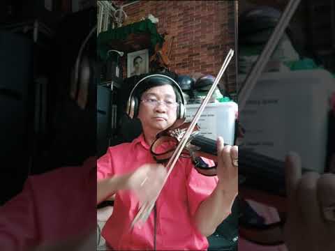 Relax by Thanh Tung Violon In SG Lockdown Covid Con Tuoi Nao Cho Em TCS- (Ngay 5th)