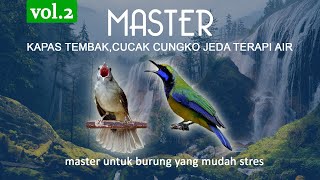 Download lagu Master Vol2 Kapas Tembak, CUCAK CUNGKO  jeda terapi air. Masteran burung agar tidak stres. mp3