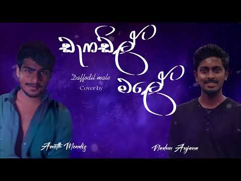 Daffodil Male | Cover by Amoth Mendis & Nadun Anjana