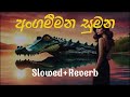 Angammana Sumana Slowed Reverb Costa Costa Sinhalarap Slowedandreverbsinhalasongs