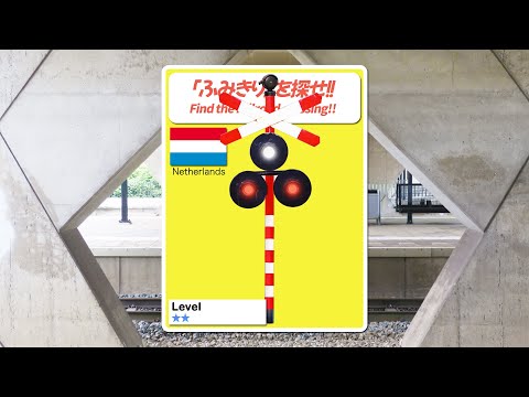 Find the railroad crossing! #297 🤔🔍