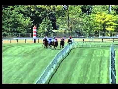 Pimlico 05/14/15 race 5