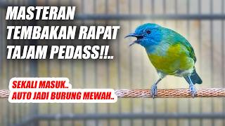 Download lagu KINOI GACOR FULL ISIAN MATERI TEMBAKAN SIRI SIRI KECIL NEMBAK PANJANG SPEED RAPAT TAJAM PEDAS mp3