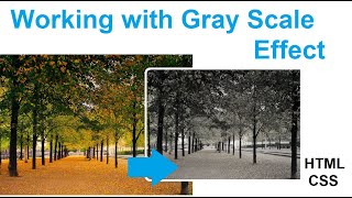 #HTML #CSS #GrayScale || Learn how to Adjust Image / Picture with Gray Scale in HTML and CSS.