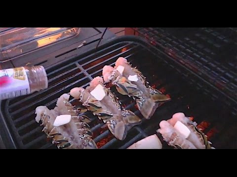 download lagu mp3 mp4 Spiny Lobster Tail, download lagu Spiny Lobster Tail gratis, unduh video klip Spiny Lobster Tail