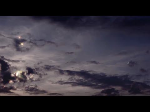 Dive Index - Singing to Bats (Official Video)