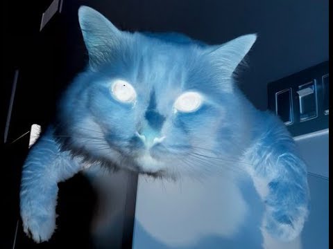 Bootleg Tuesday (1/7/2020) Jump King part 1