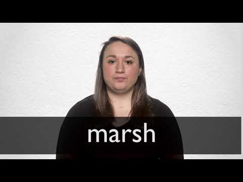 How to pronounce MARSH in British English