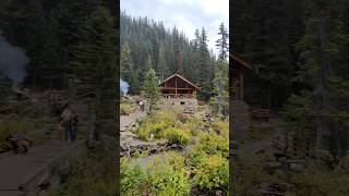 Lake Agnes Tea House: A Hidden Gem! #hiking #hikingadventures #nature #lakeagnes