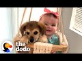 This Puppy And Baby Sister Are Perfectly In Sync With Everything They Do The Dodo Soulmates