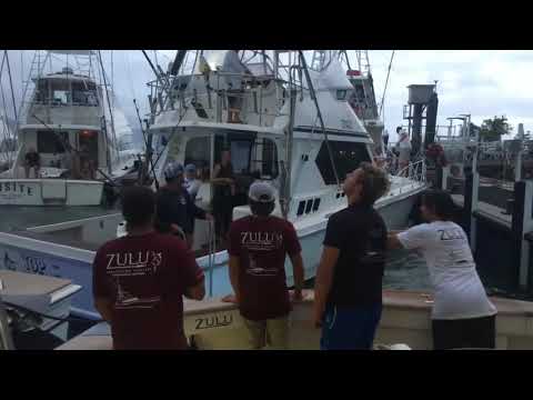 How good are your docking skills? - Captain Ross Finlayson