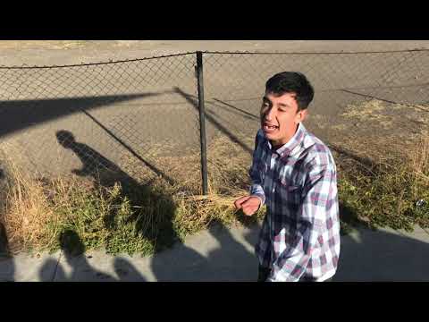 DEAFC VS LETRISTYLE - FINAL- 8AVA DIMENSIÓN FECHA 1 2k19