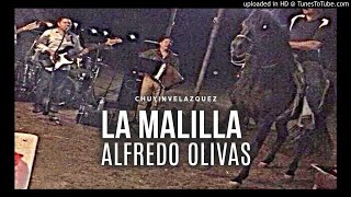 La Malilla - Alfredo Olivas
